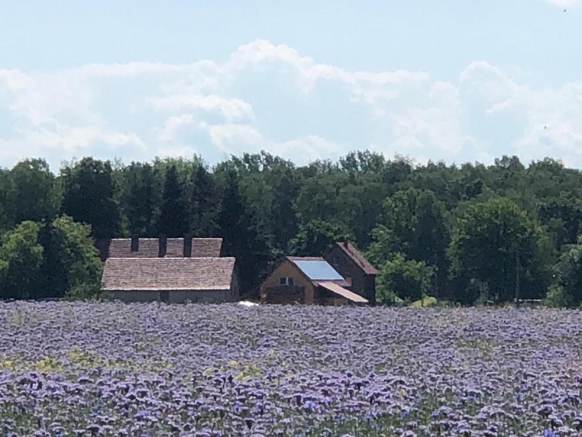 Ferienhof Olbasee Kleinsaubernitz Esterno foto