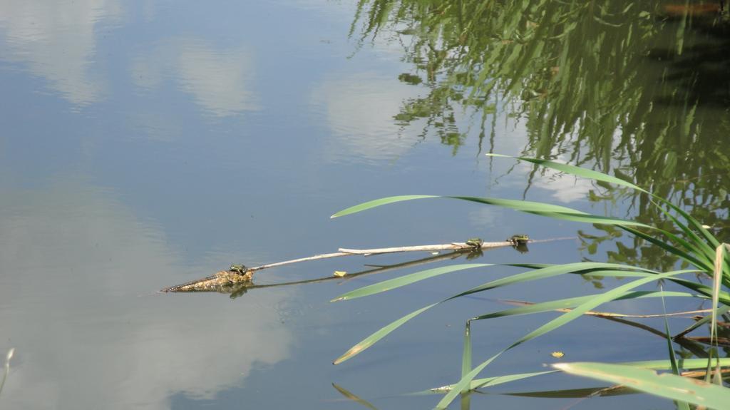 Ferienhof Olbasee Kleinsaubernitz Esterno foto