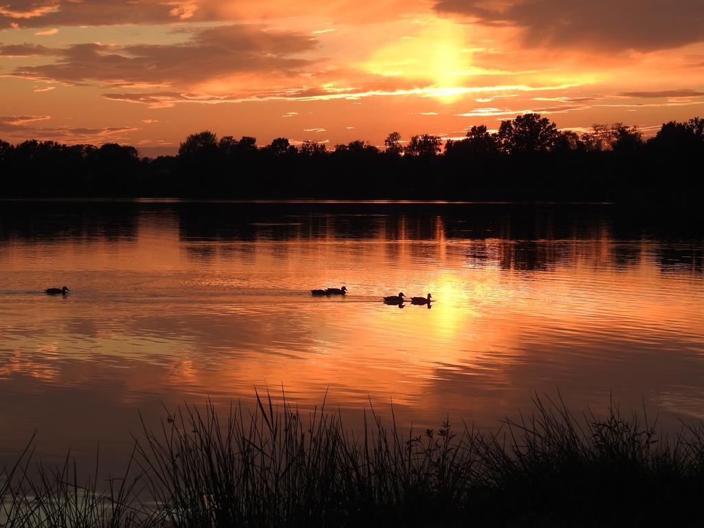 Ferienhof Olbasee Kleinsaubernitz Esterno foto