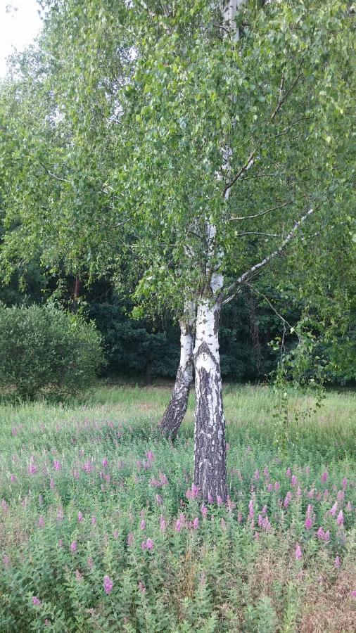 Ferienhof Olbasee Kleinsaubernitz Esterno foto